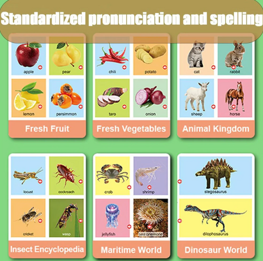 My First Words English Sound Book - Familysplace™