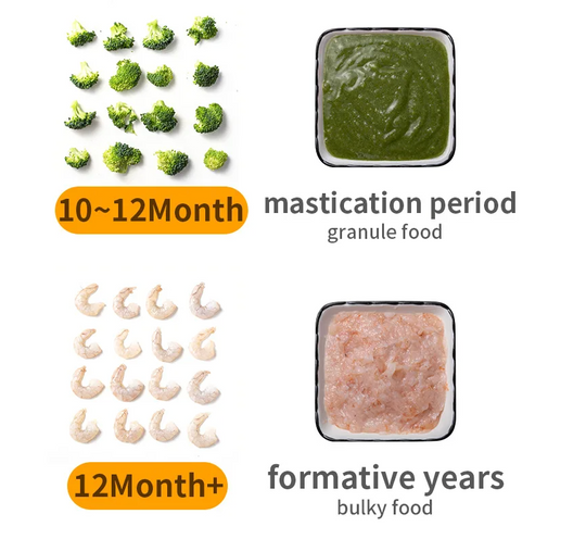 FreshBlend Baby Food Maker - TheFamilysplace™