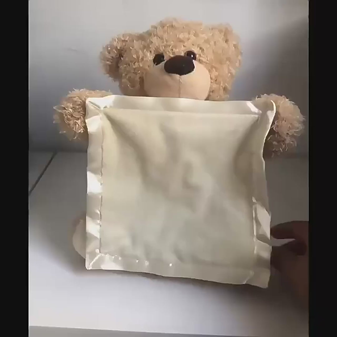 Peek a boo Talking Teddy Bear